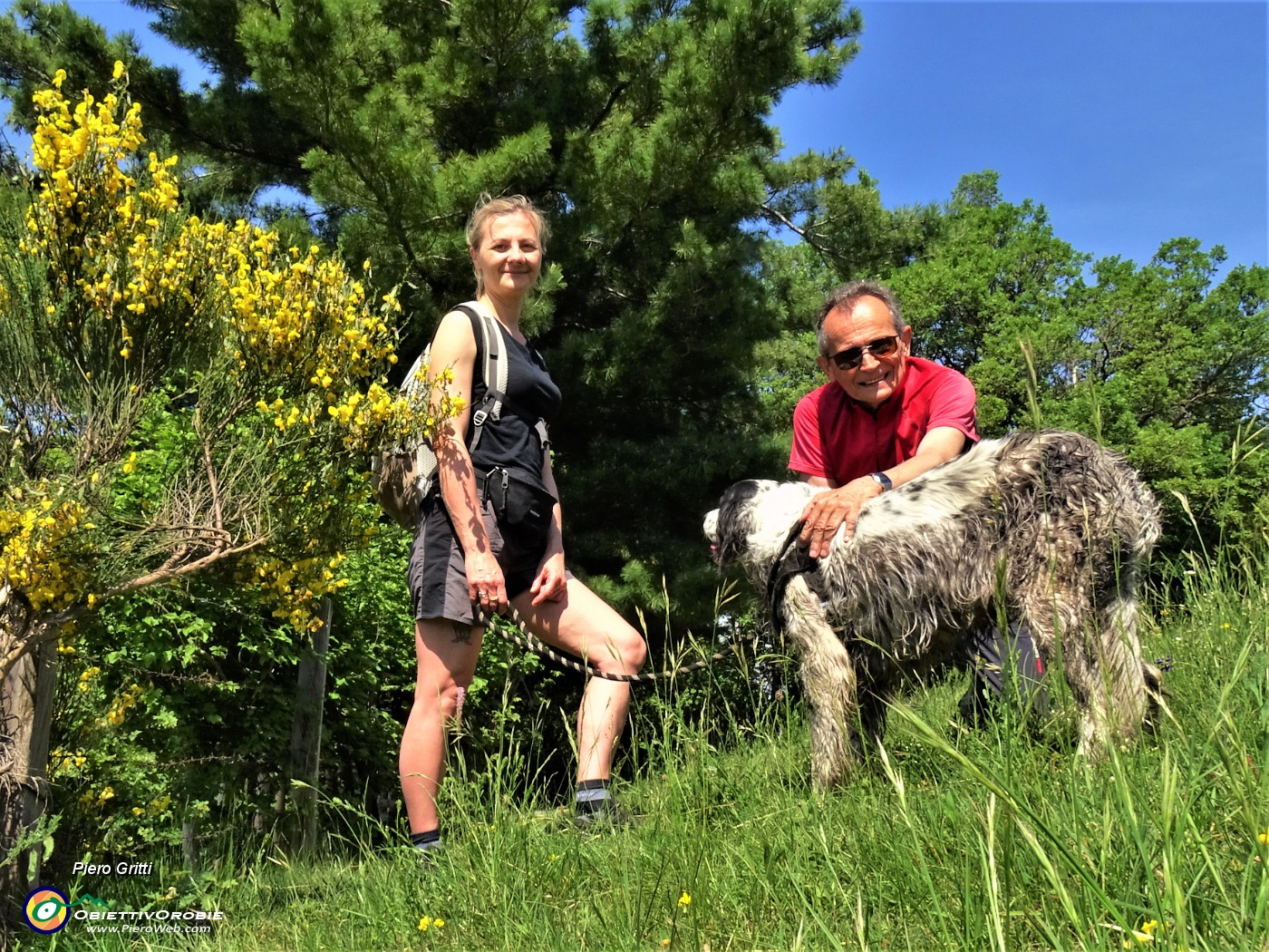 06 Ai pascoli dei Prati Parini (746 m) con giallo maggiociondolo.JPG